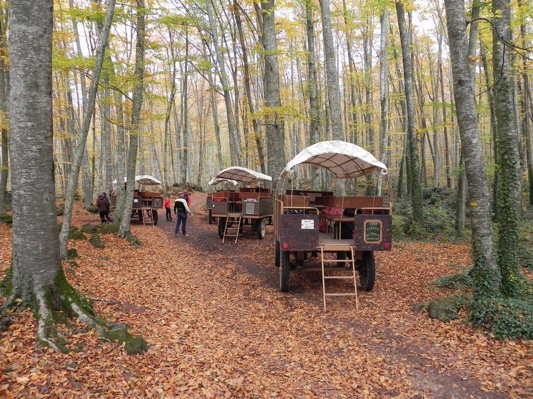 La Fageda