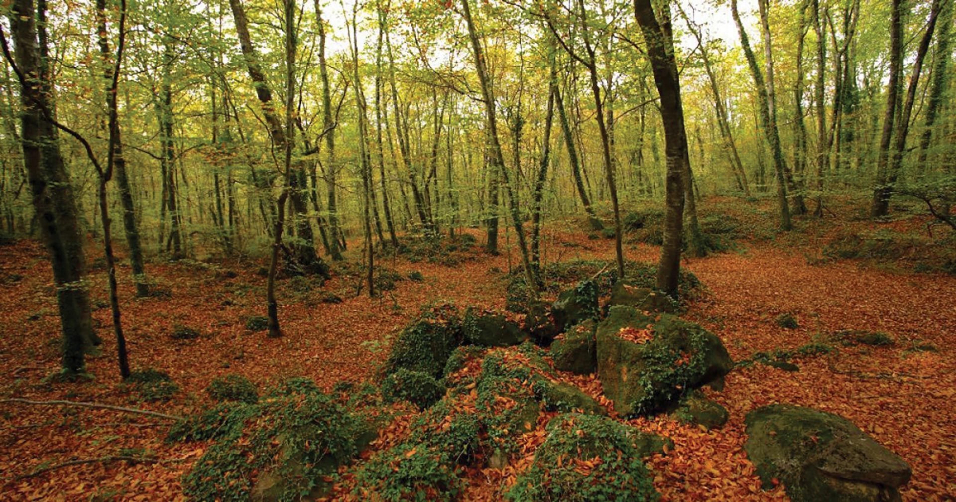La Fageda